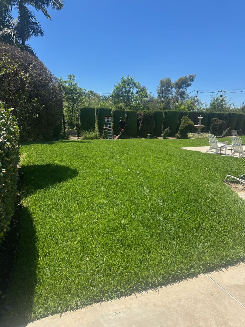 Green lawn and maintained landscaping
